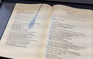 Lektorinnen und Lektoren