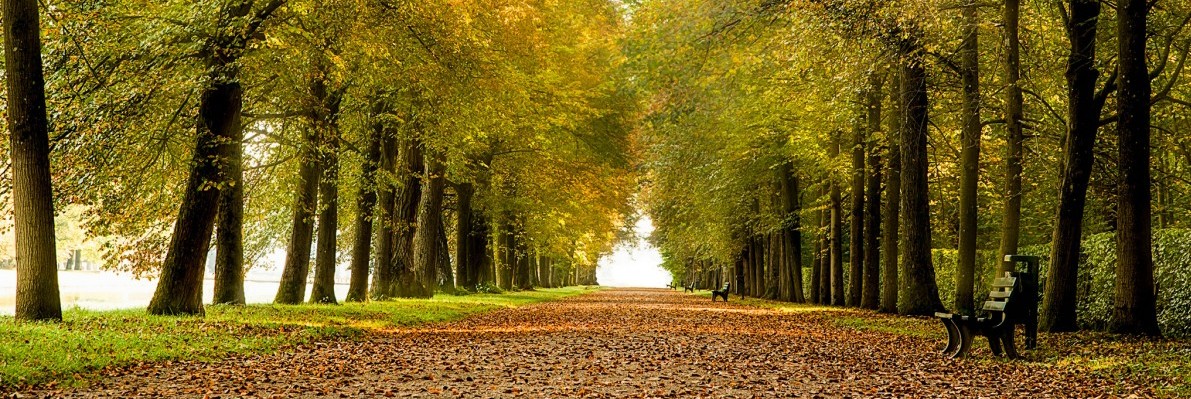 11.4.1 Geselliges tab links Ausflüge und Reisen Wndern